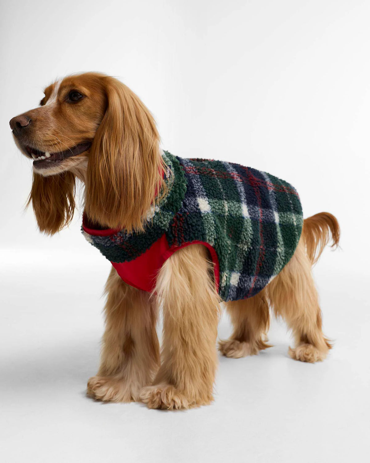 Manteau pour chien réversible Evergreen Tartan - Barbour