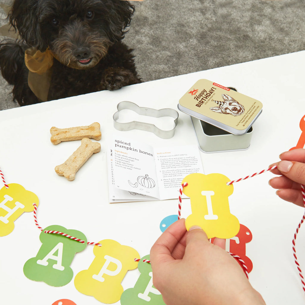 Kit d'anniversaire pour chien - Kikkerland