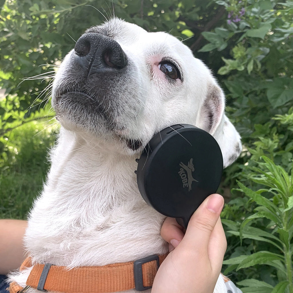 Kit spa pour chien - Kikkerland