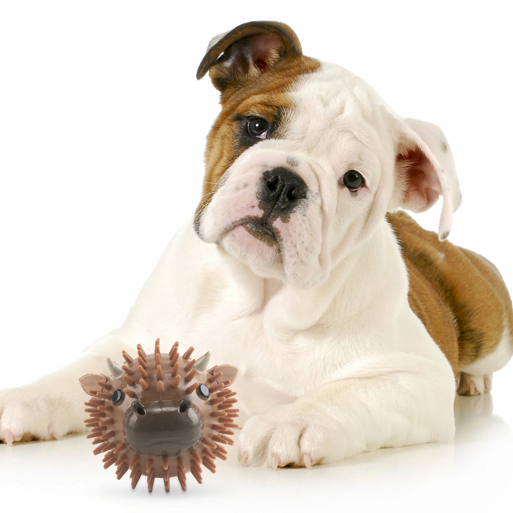 Jeu Kobe Cow Dog Ball - Kikkerland