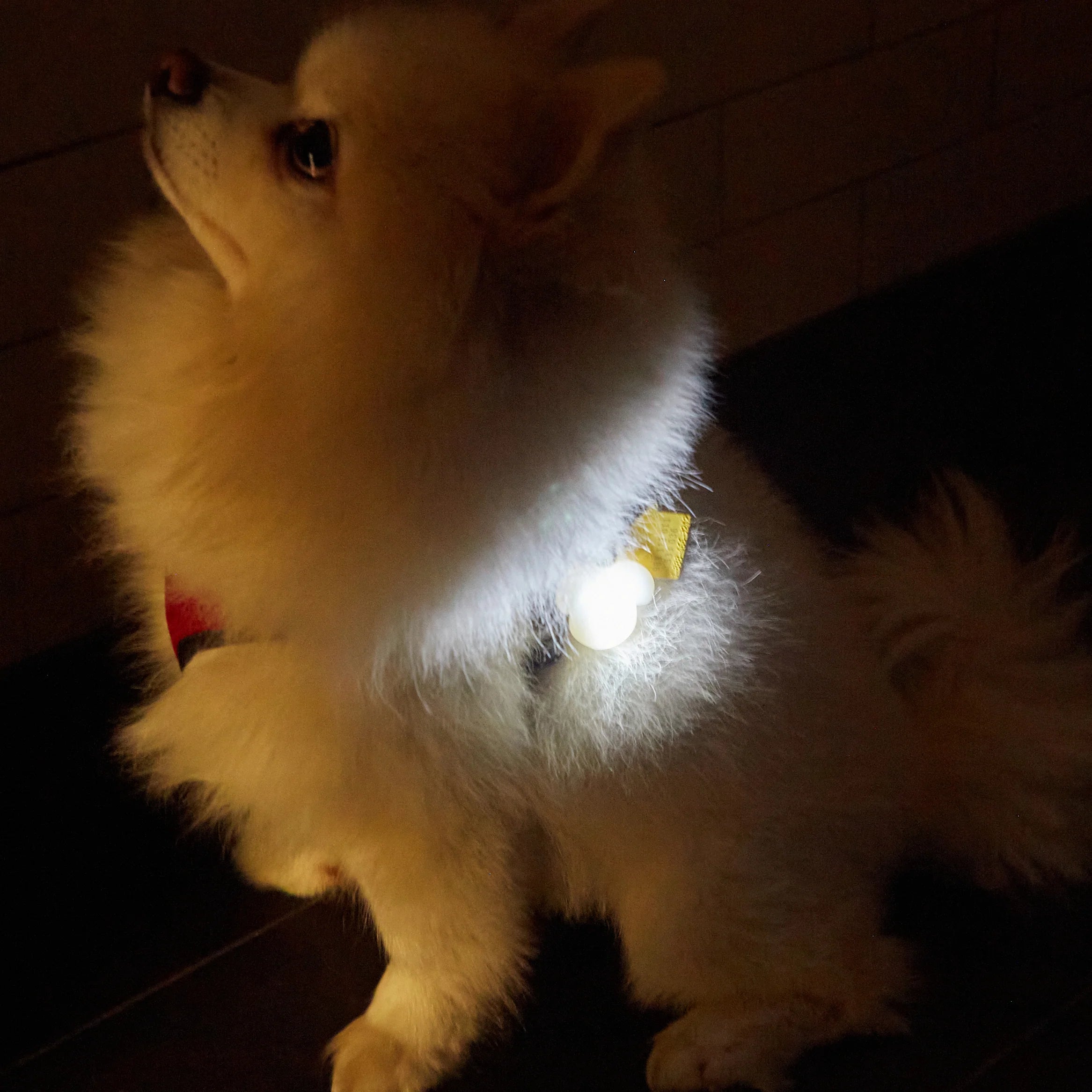 Badge lumineux - Kikkerland