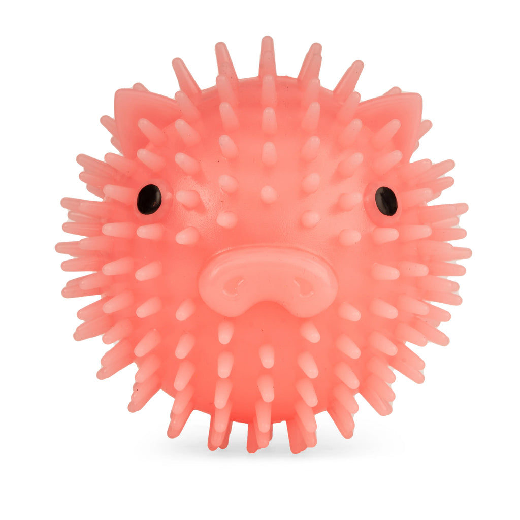 Jeu Piggy Dog Ball - Kikkerland