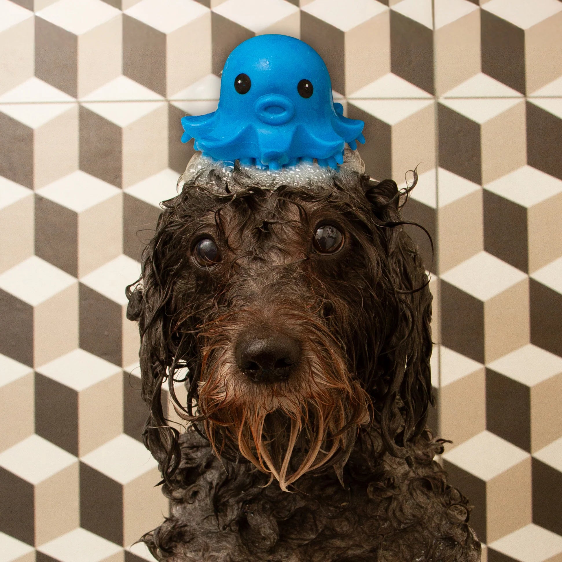 Brosse de toilettage Octopus - Kikkerland