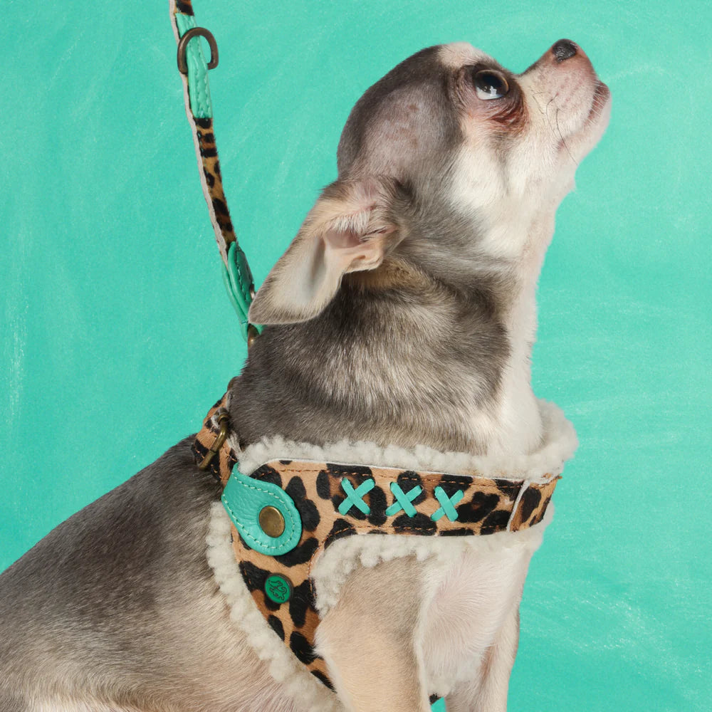 Harnais pour chien Amsterdam Panther Taille 2 (XXS) - Dog With a Mission