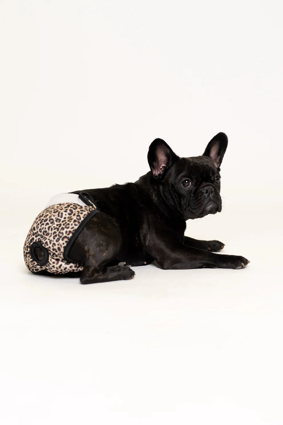 Culottes menstruelles pour chien Leo - Lou and Co.