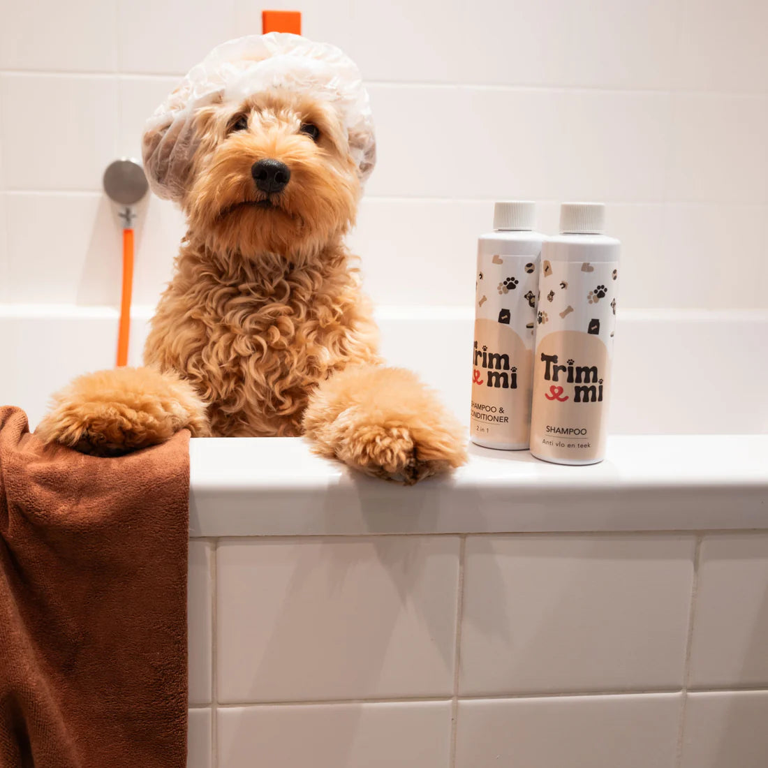 Shampoing anti-puces et tiques - Trimmi