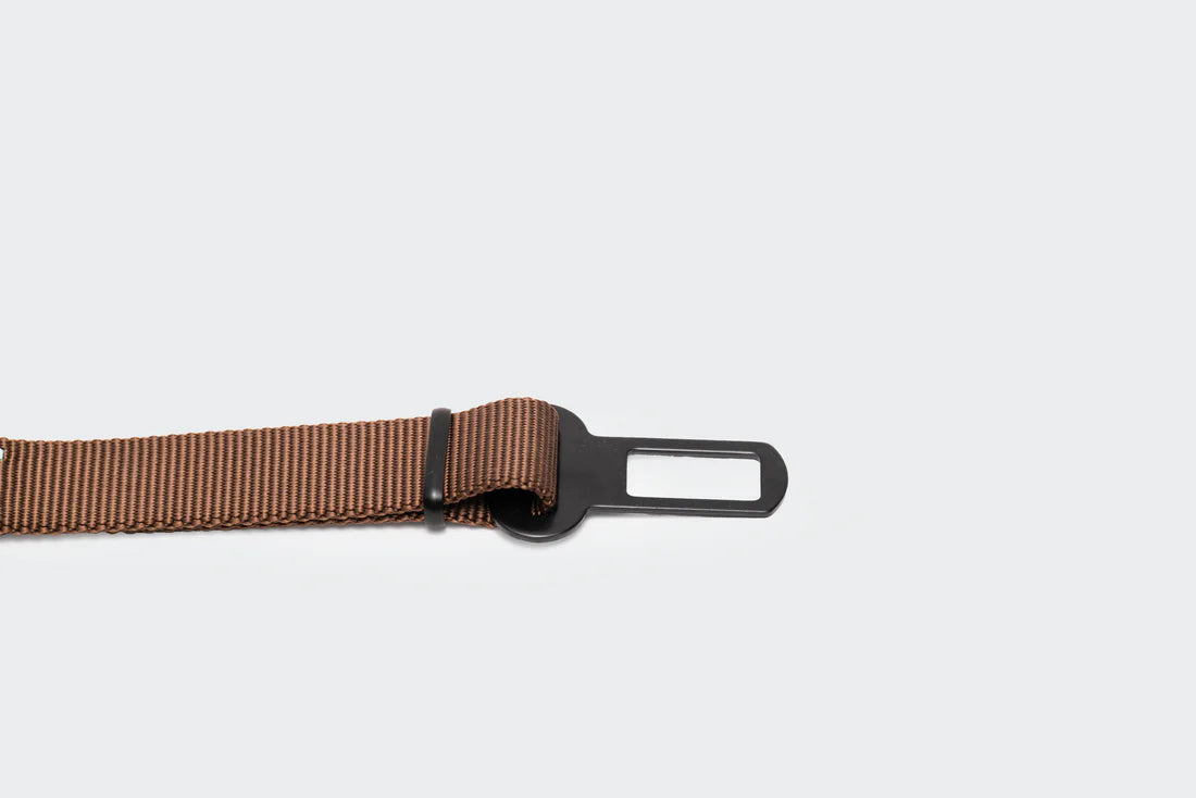 Ceinture de sécurité pour la voiture - Trimmi