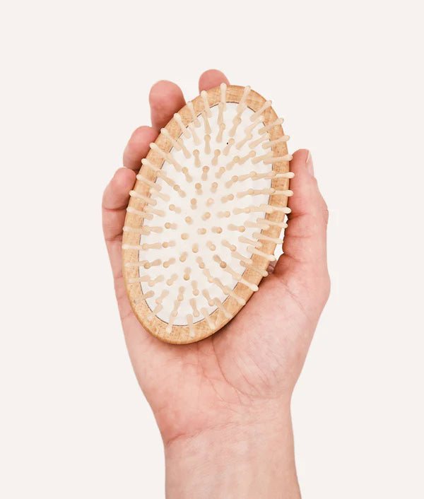 Brosse pour chiens - Cafide