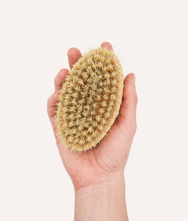 Brosse pour chiens - Cafide