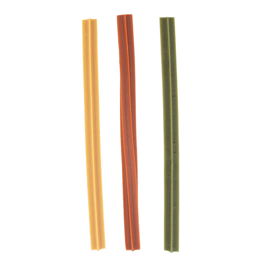 Sticks dentaires fruits - Garden Bites