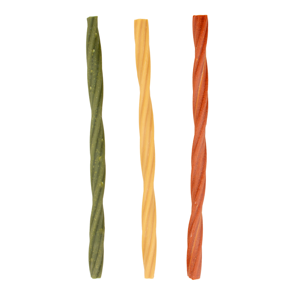 Sticks dentaires fruits - Garden Bites