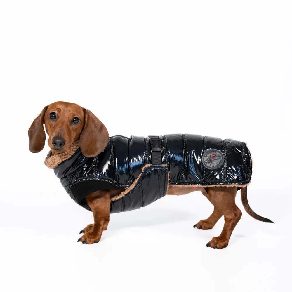 Doudoune Puppuccino teckel - Lucienne la Parisienne