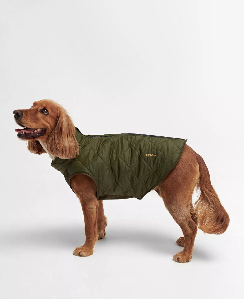 Manteau réversible Kaki - Barbour