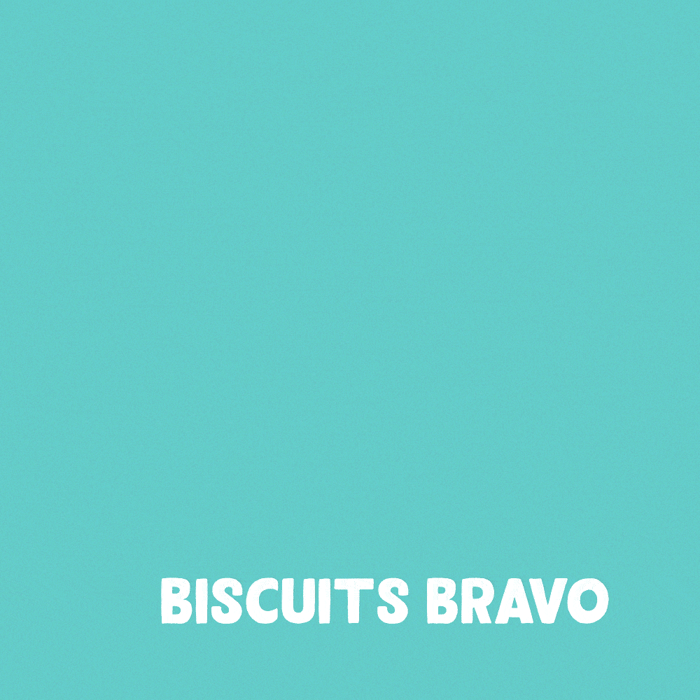 Biscuits Poulet 400g - Edgar&Cooper