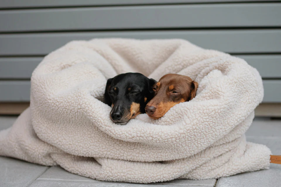Gigoteuse pour chien - Lieblingspfote