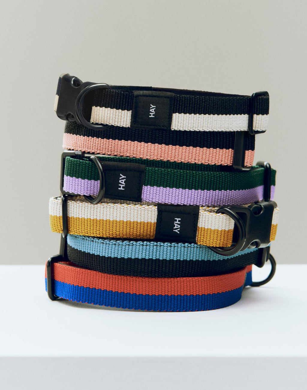 Colliers plats pour chien - Hay
