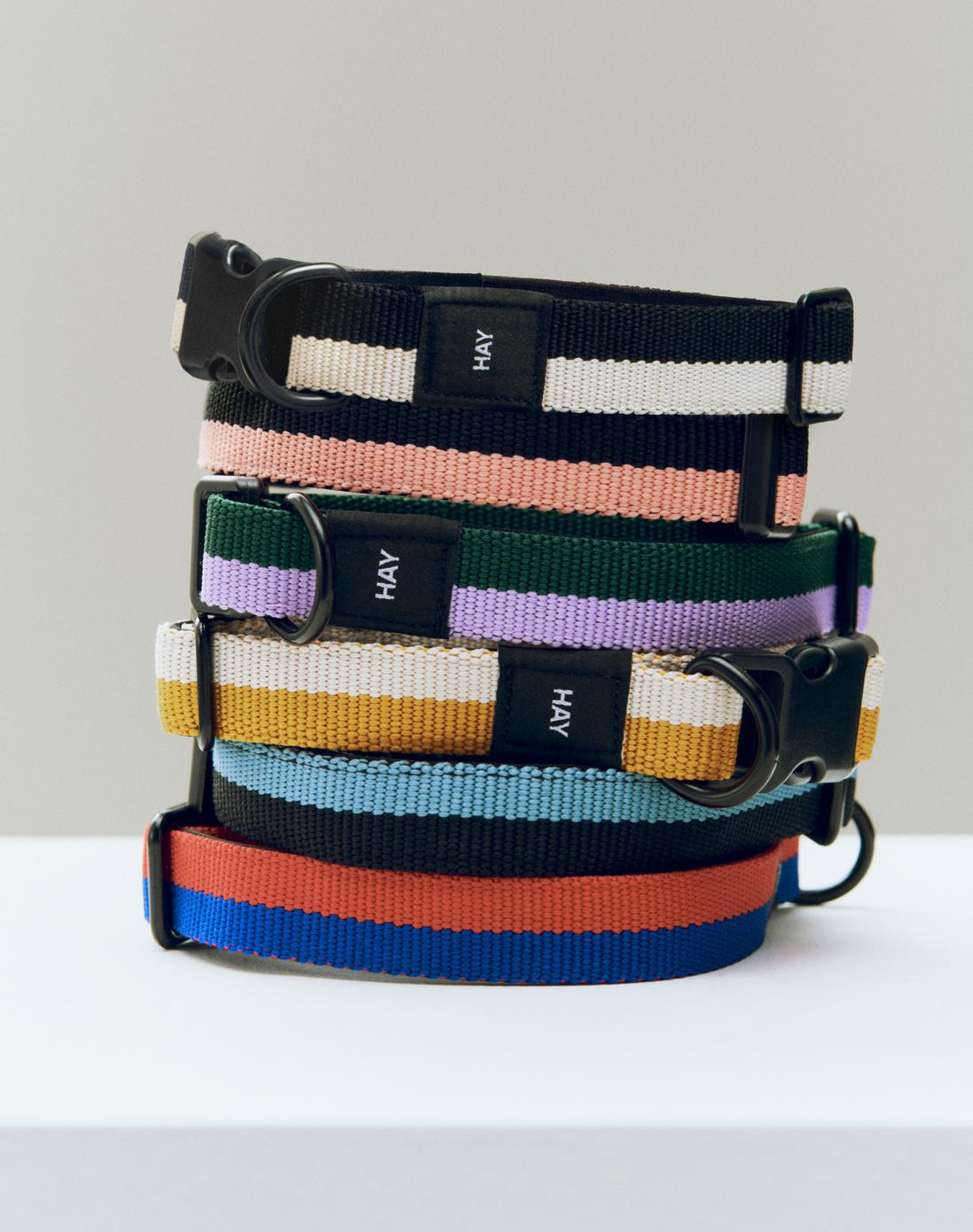 Colliers plats pour chien - Hay