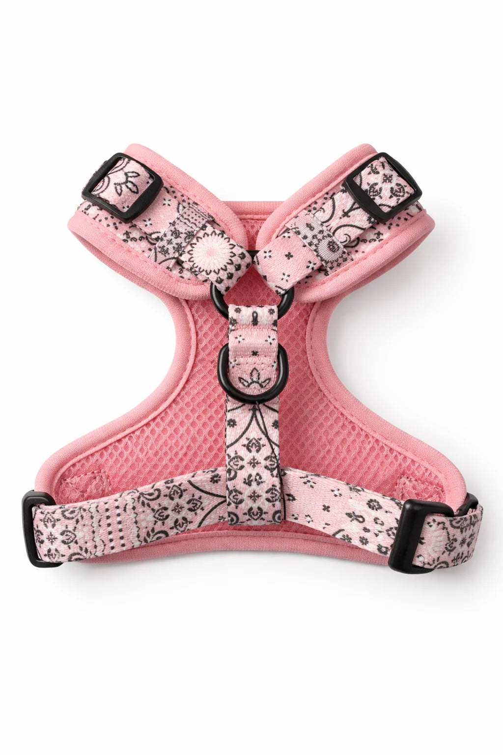 Le harnais JACQUES - Jeannette Dogs