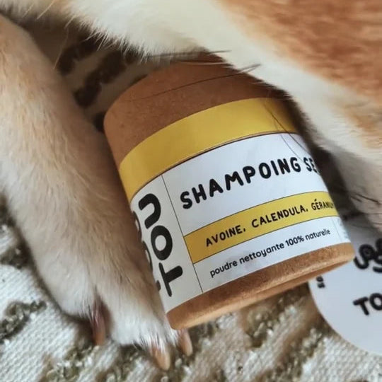 Shampoing sec certifié bio - Toutou.care