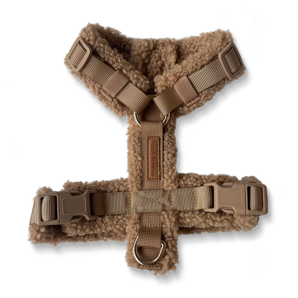 Harnais Teddy Y - Puppy Bohème