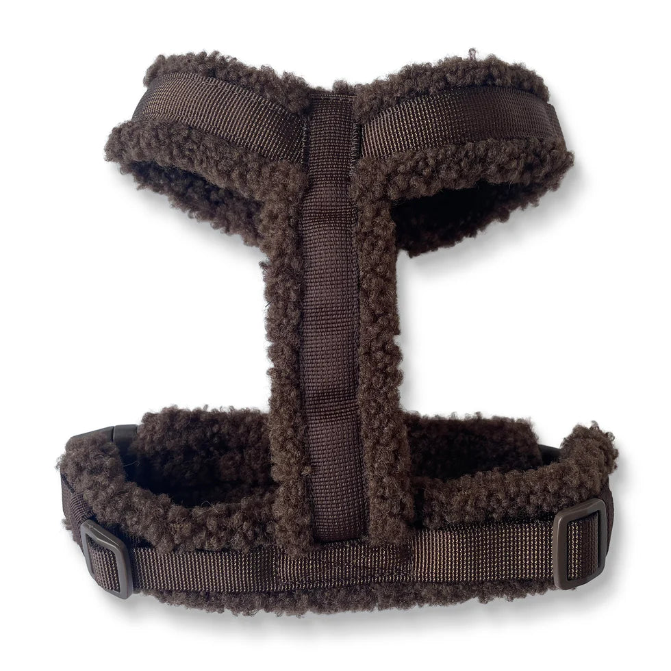 Harnais Teddy Y - Puppy Bohème