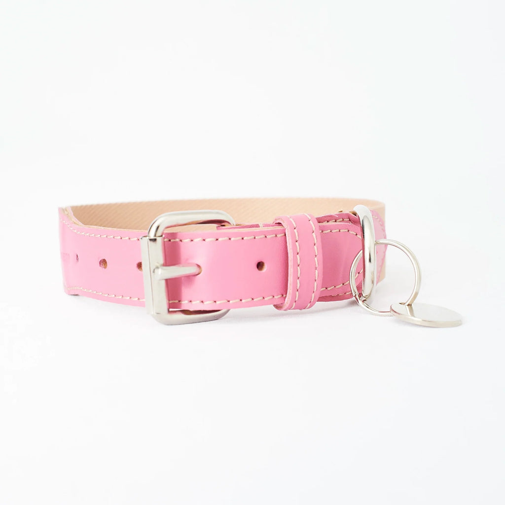 LK. Doggo Fullset - Lucrezia Kauffmann