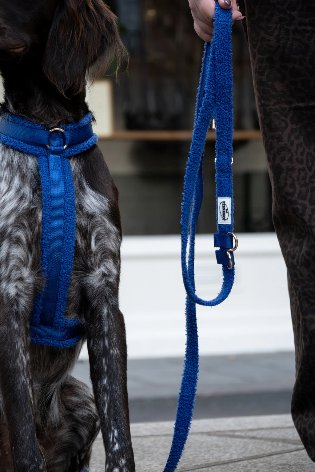 La laisse GEORGES - Jeannette Dogs