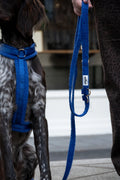 La laisse GEORGES - Jeannette Dogs