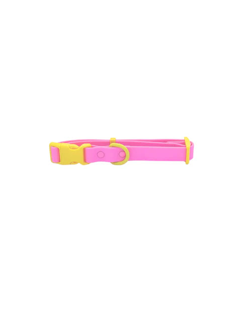 Collier pour chien en silicone - Approved by Fritz