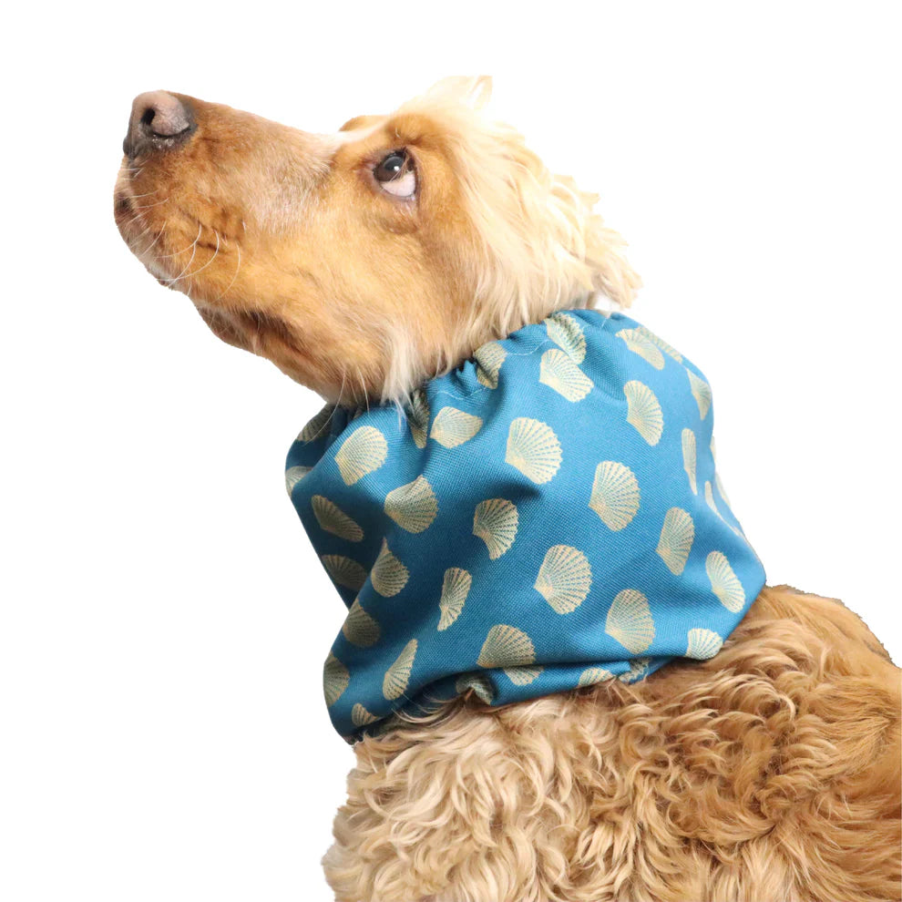 Snood imperméable - Distinguish me