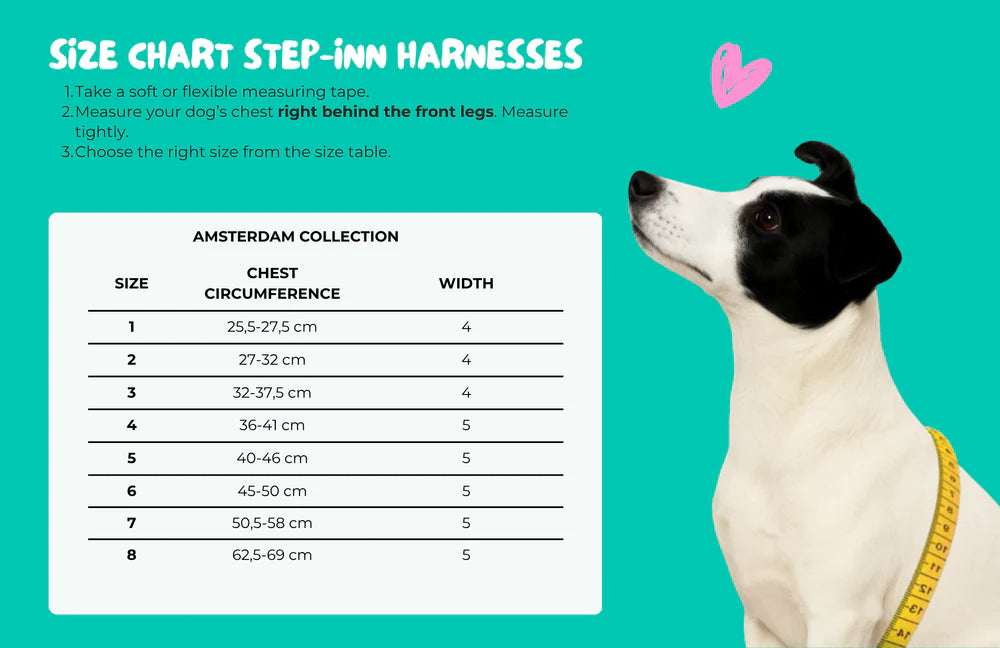 Harnais pour chien Dandy Taille 3 (XS) - Dog With a Mission