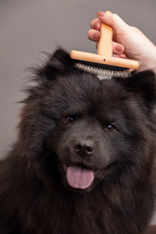 Brosse sous-poil - Trimmi