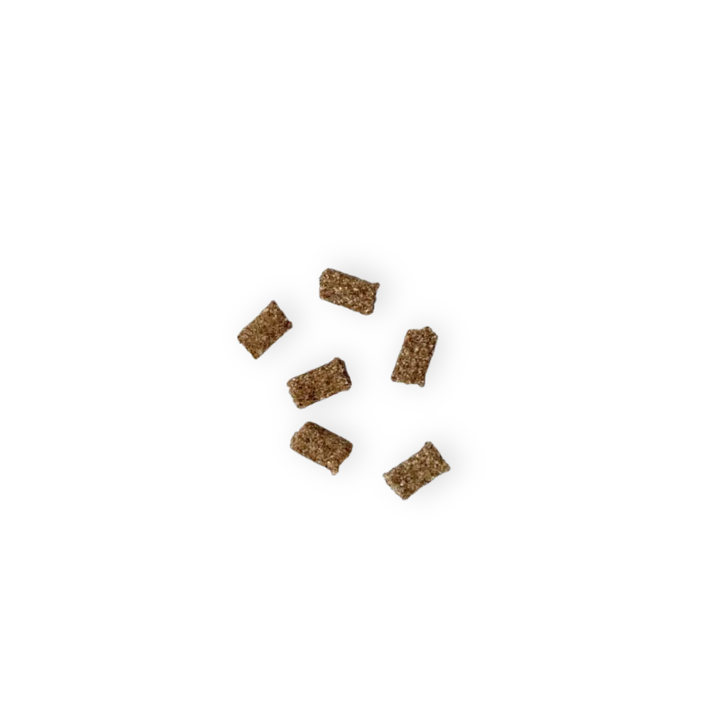 Friandises Calme Mini Chien - Marly&Dan