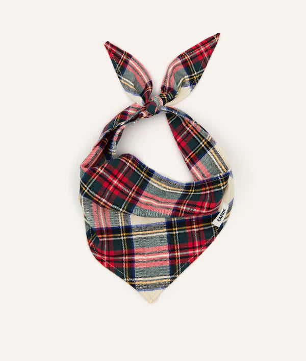 Bandana pour chien - Cafide