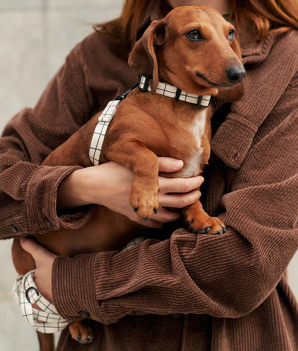 Collier PET recyclé - Cafide