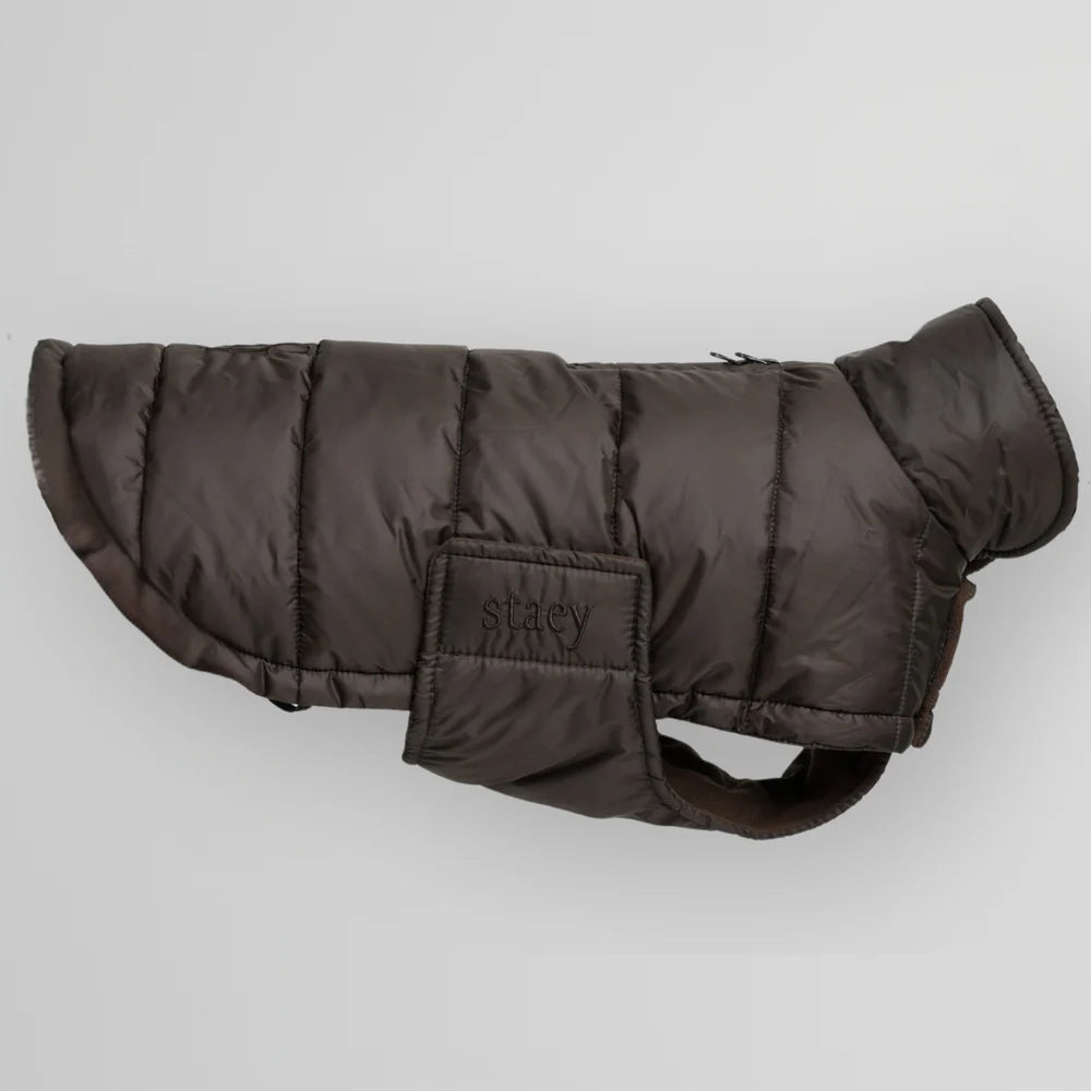 Manteau pour chien Nora Espresso - Staey