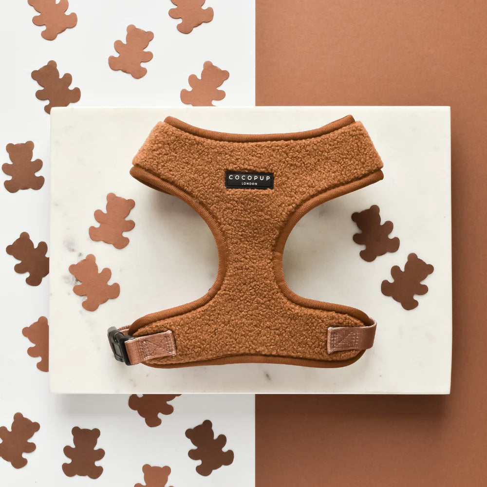 Harnais Teddy Paddington - Cocopup London