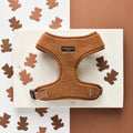 Harnais Teddy Paddington - Cocopup London