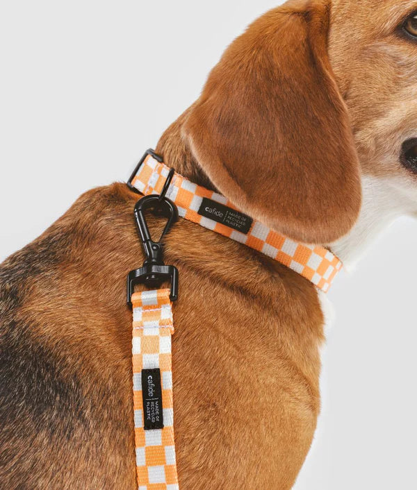 Collier PET recyclé - Cafide