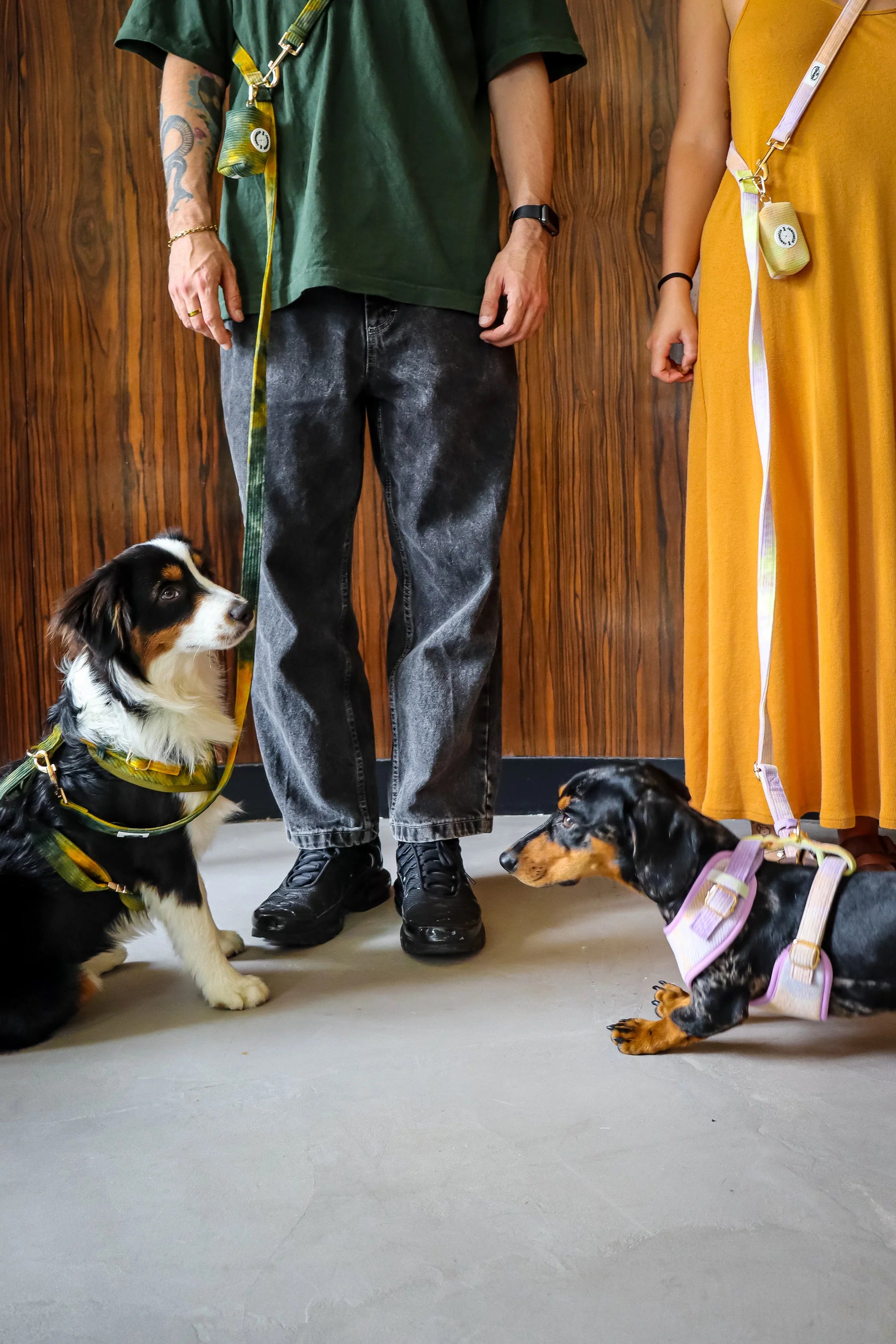 Le poopbag EDGAR - Jeannette Dogs