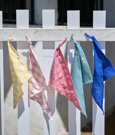Bandana pour chien - Cafide