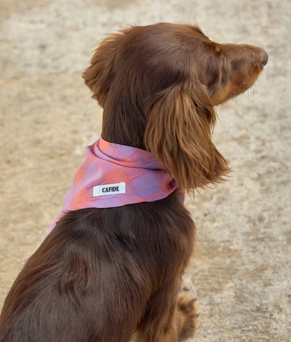 Bandana pour chien - Cafide