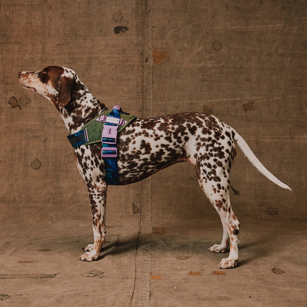 Reebok Trekk FlyHarness avec poignée - Zee.dog ( Taille 3)