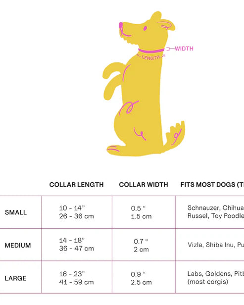 Collier pour chien en silicone - Approved by Fritz