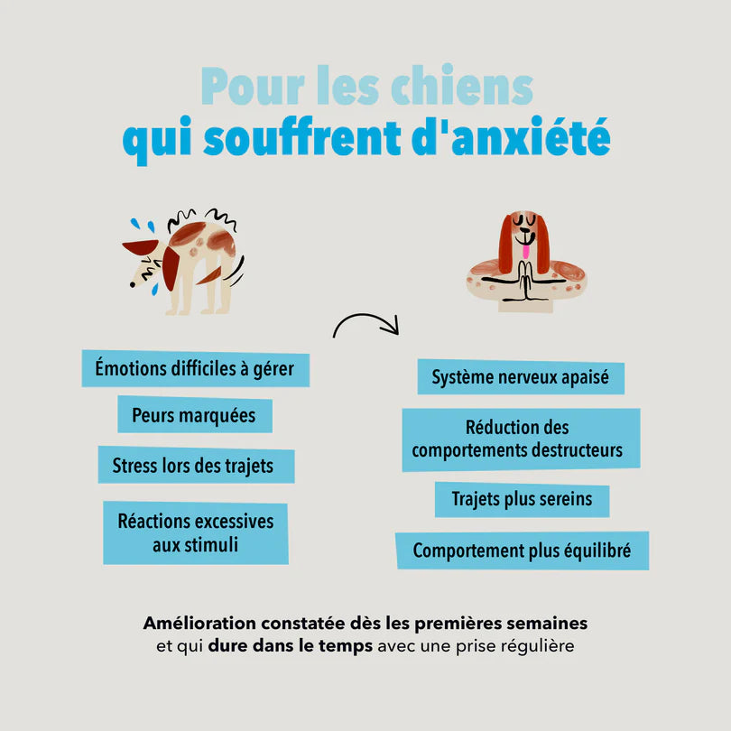 Les Bouchées Delamour - Anxiété