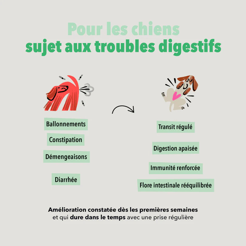 Les Bouchées Delamour - Digestion