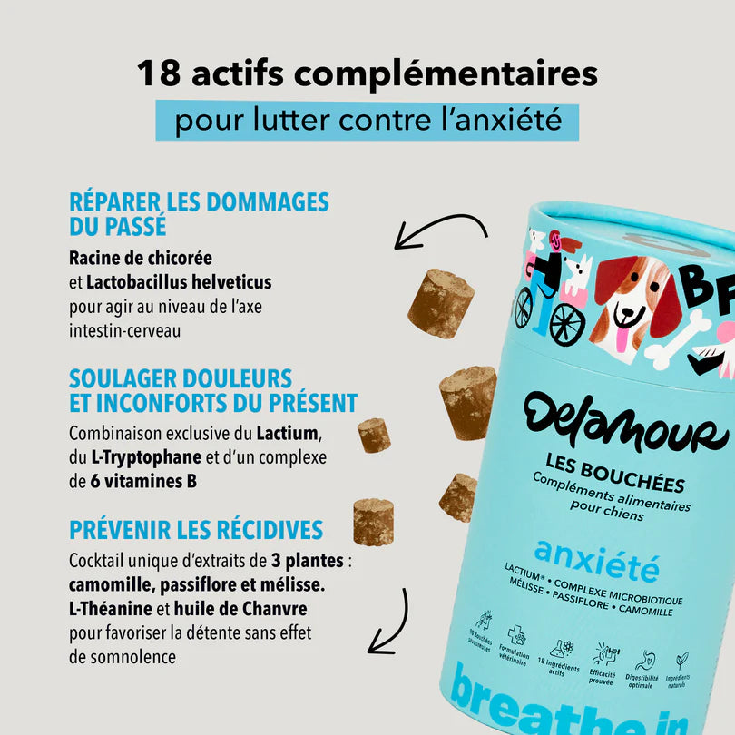 Les Bouchées Delamour - Anxiété