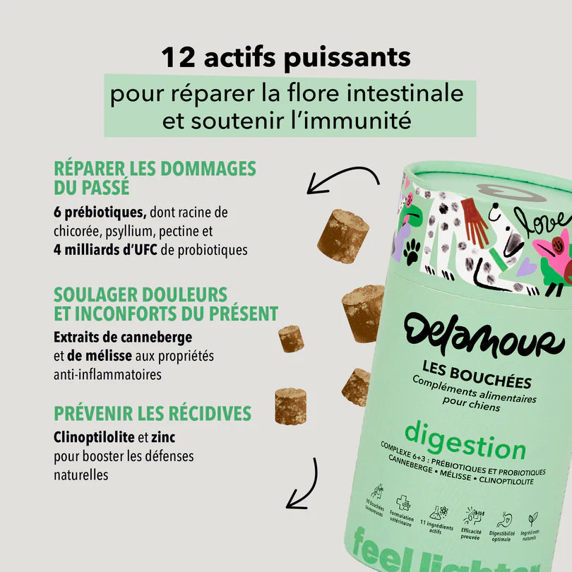 Les Bouchées Delamour - Digestion