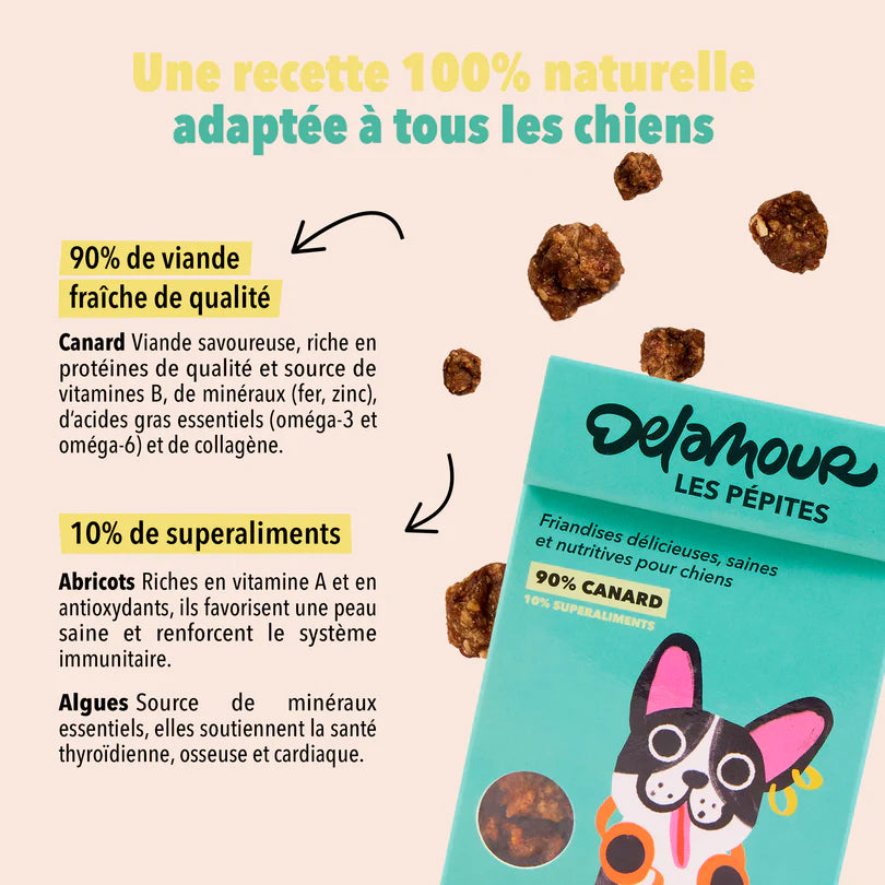Les Pépites Delamour - Canard