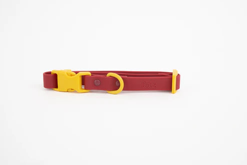 Collier pour chien en silicone - Approved by Fritz